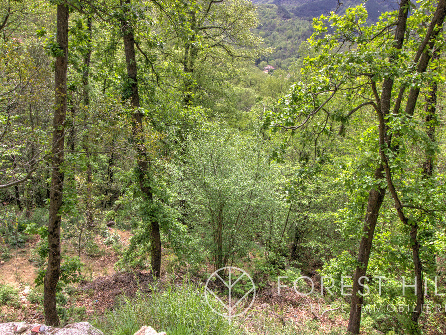Vente Terrain Maureillas-las-Illas 49 000 €
