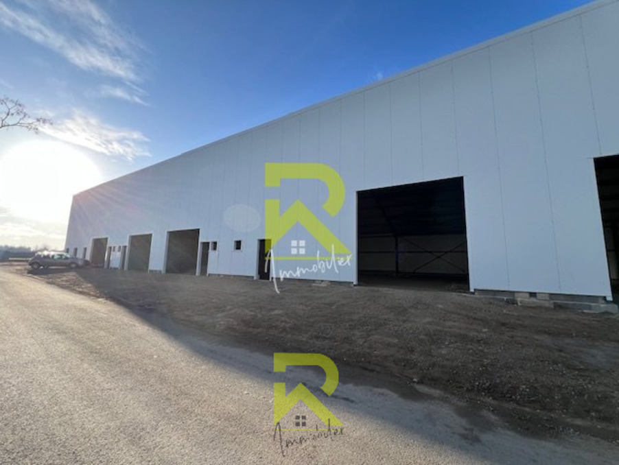 Location Local Saint-Thibéry 1 200 €