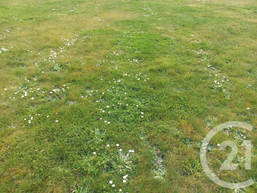 Vente Terrain Plouha 52 300 €