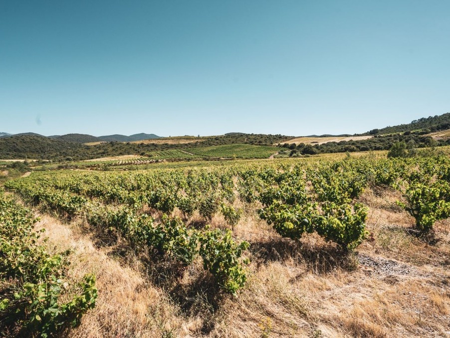 Vente Terrain CASCASTEL DES CORBIERES  149 000 €