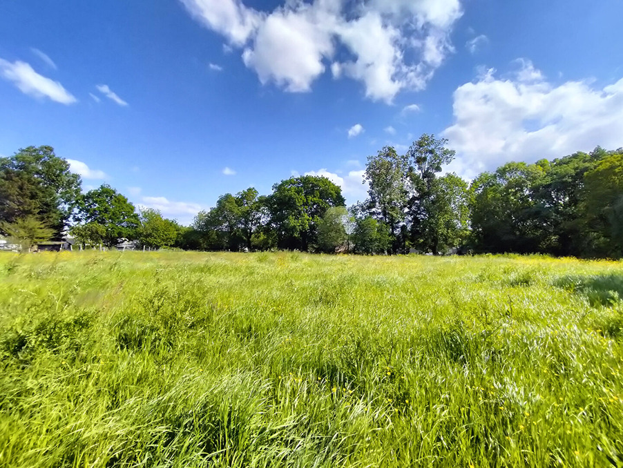 Vente Terrain Baguer pican 69 500 €