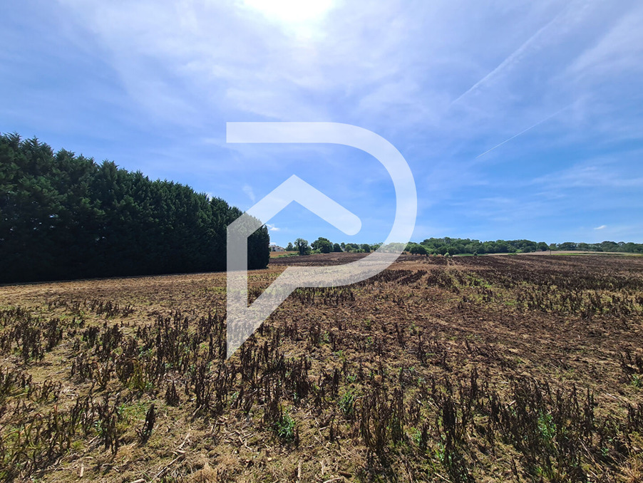 Vente Terrain Orthez 34 500 €