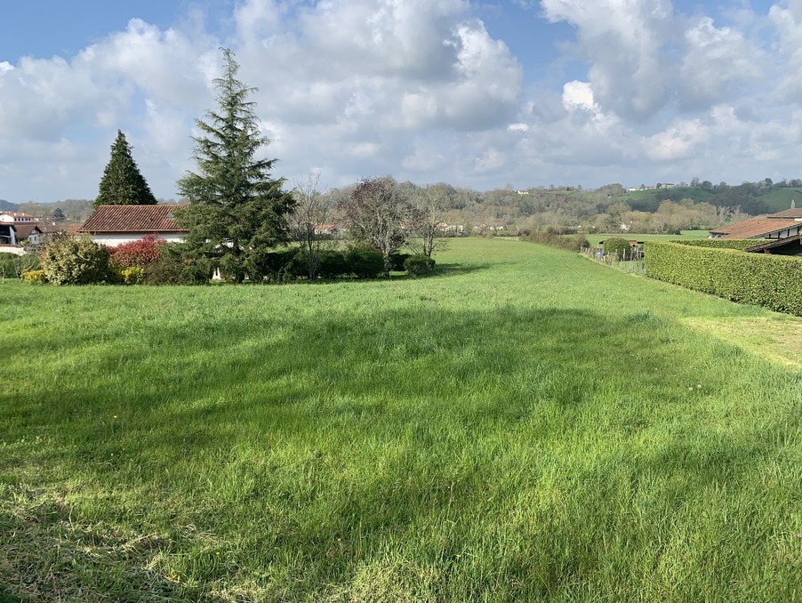 Vente Terrain SAINT PEE SUR NIVELLE  179 000 €