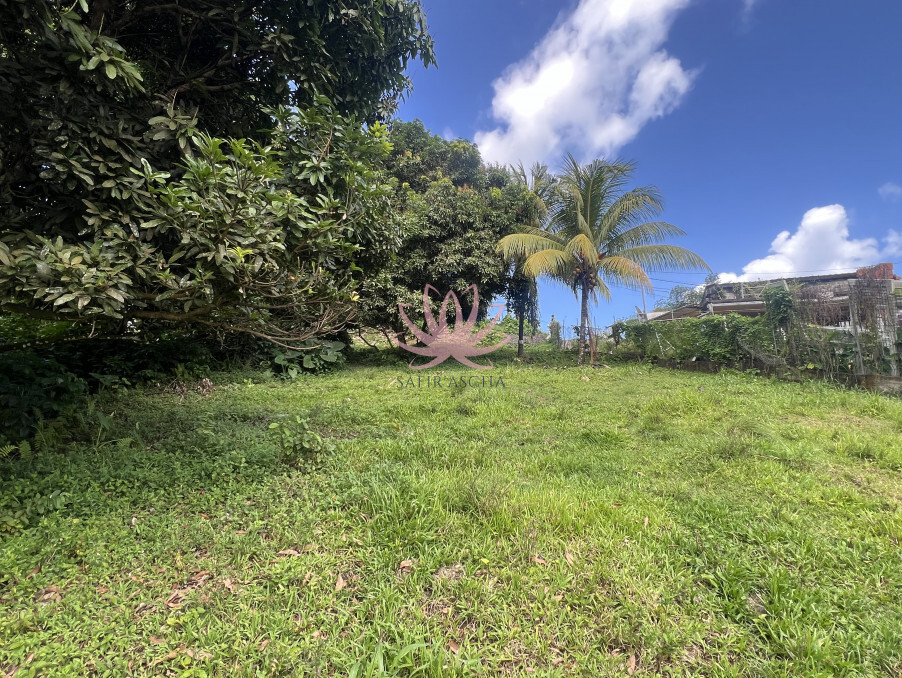 Vente Terrain STE MARIE  423 875 €