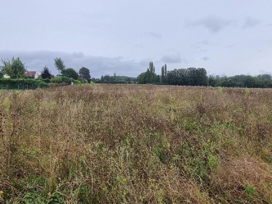 Vente Terrain COURLON SUR YONNE 37 500 €