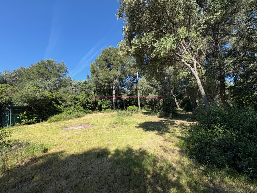 Vente Terrain Ollioules  290 000 €