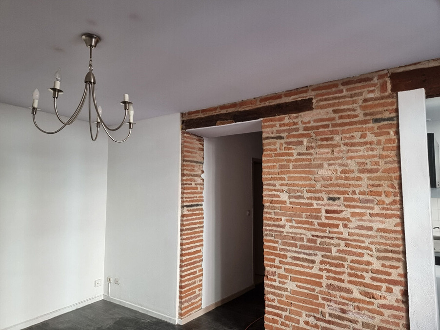 Location Appartement Montauban  490 €