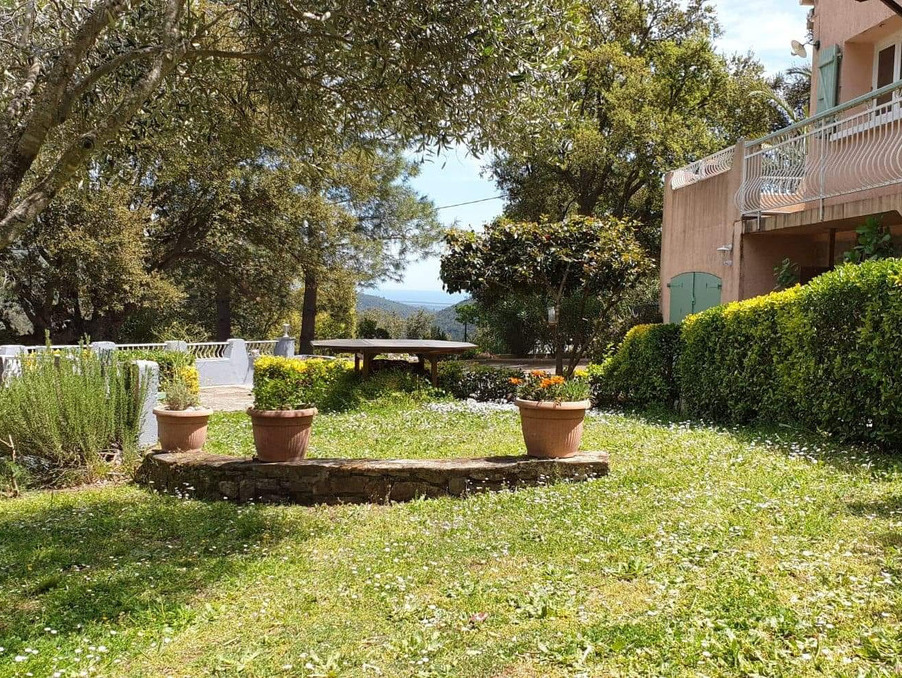 Vente Maison Isolaccio-di-Fiumorbo  325 000 €