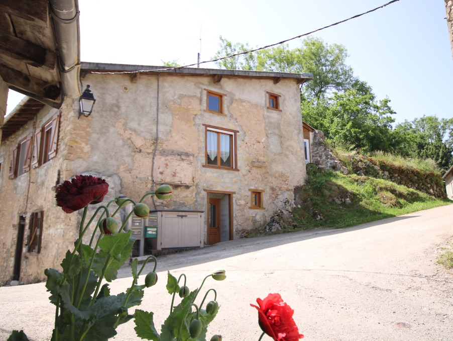 Vente Maison Roquefixade  515 000 €