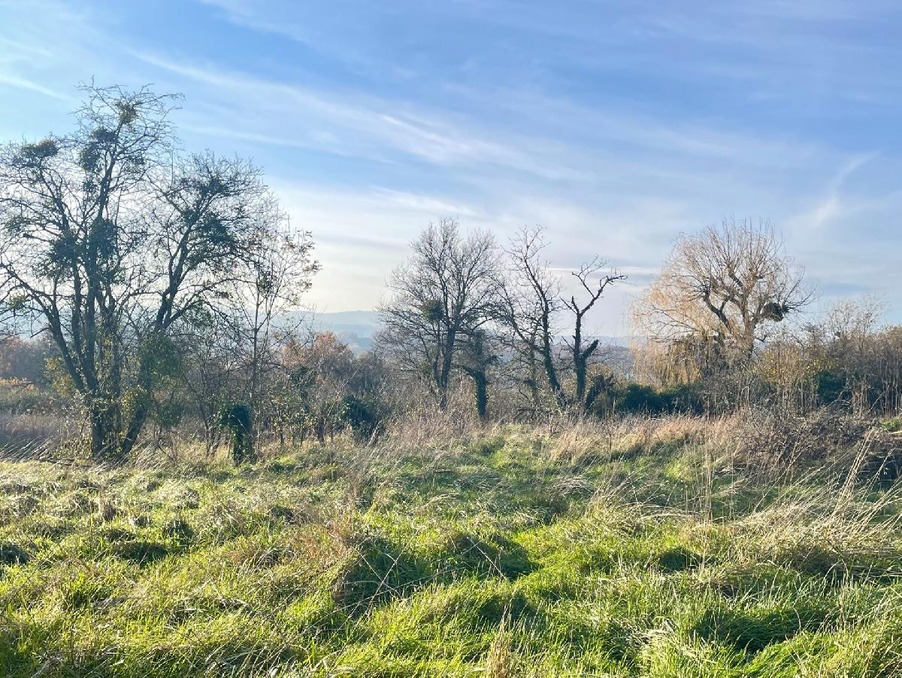 Vente Terrain CHARNAY LES MACON  250 000 €