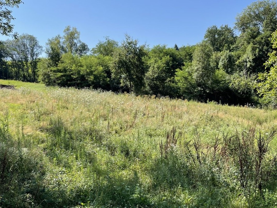 Vente Terrain THIERS  110 000 €