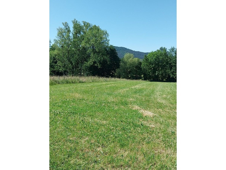 Vente Terrain HENGWILLER 49 800 €