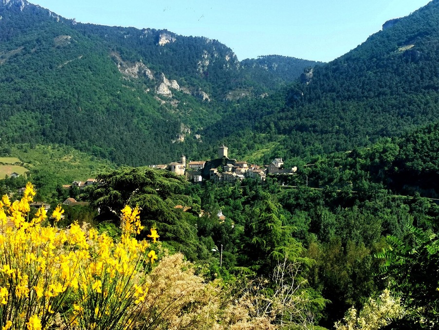 Vente Terrain MOSTUEJOULS 78 000 €