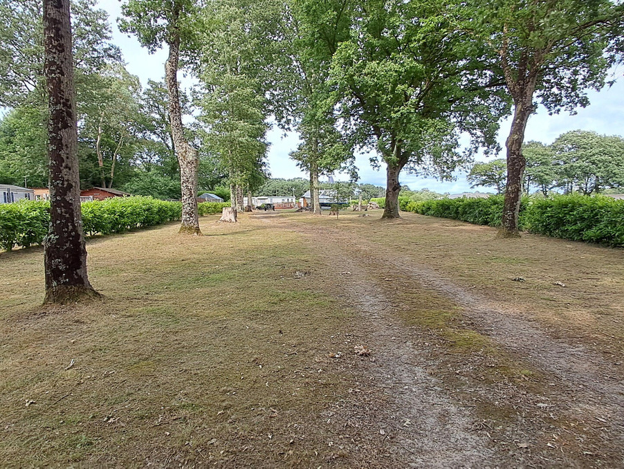 Vente Terrain Mesquer  110 000 €