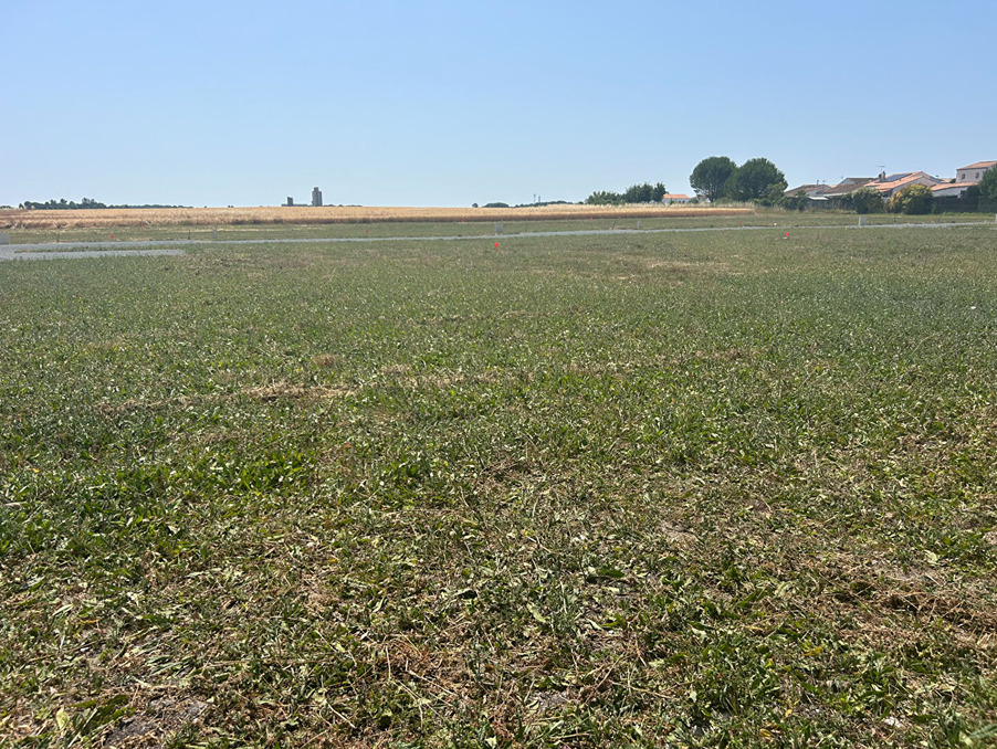 Vente Terrain Mornac sur seudre 84 000 €