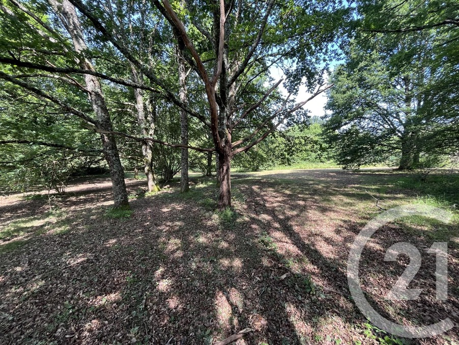 Vente Terrain Panazol 75 400 €