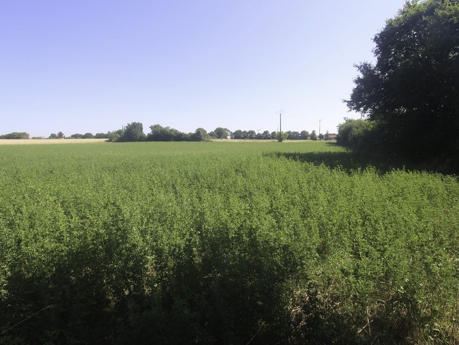 Vente Terrain NACHAMPS 67 600 €