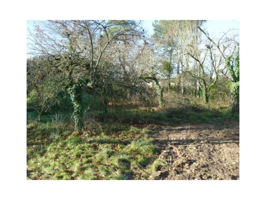 Vente Terrain VILLEMANDEUR 62 200 €