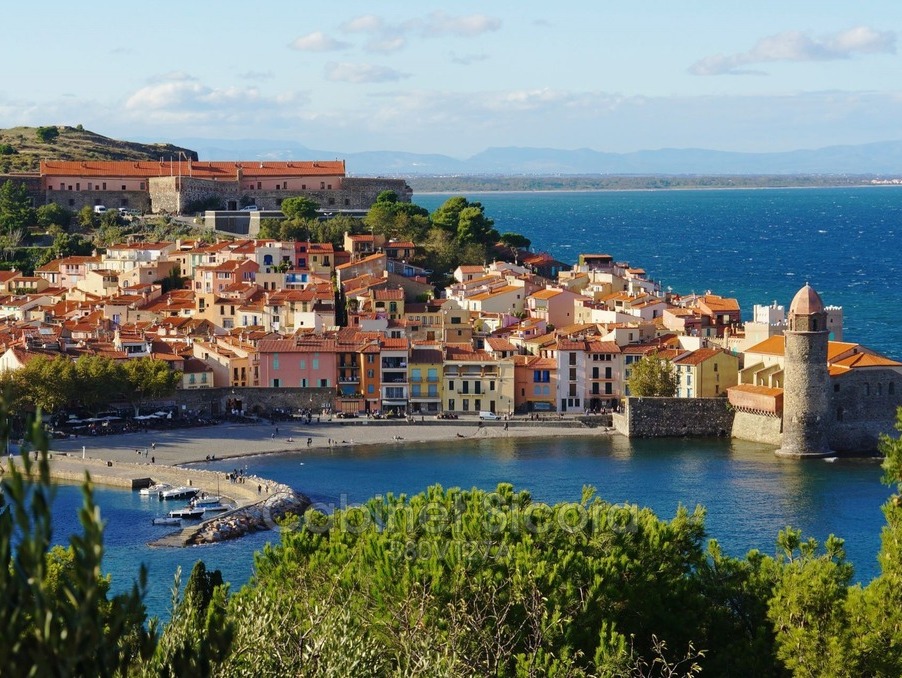 Vente Appartement Collioure  433 800 €