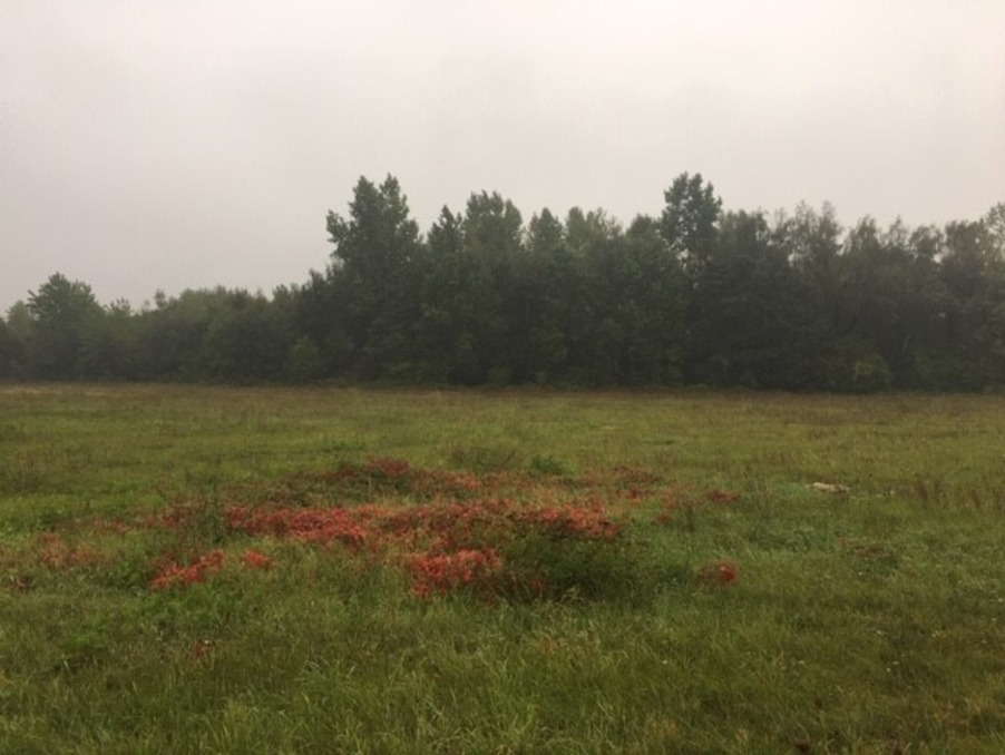 Vente Neuf TROSLY BREUIL 58 000 €